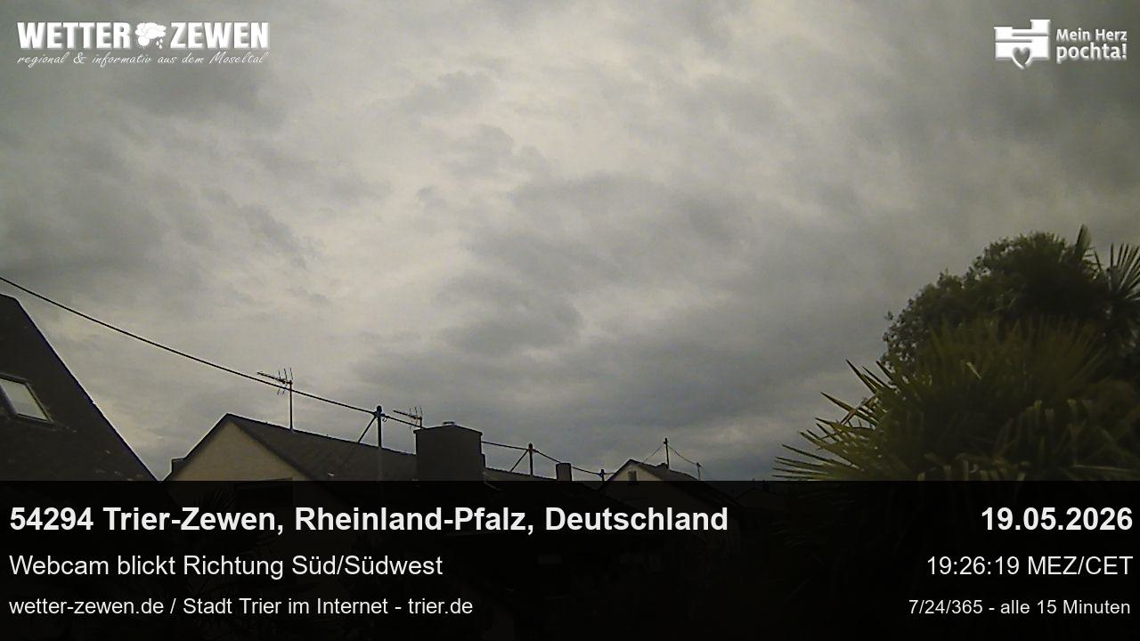 Bild