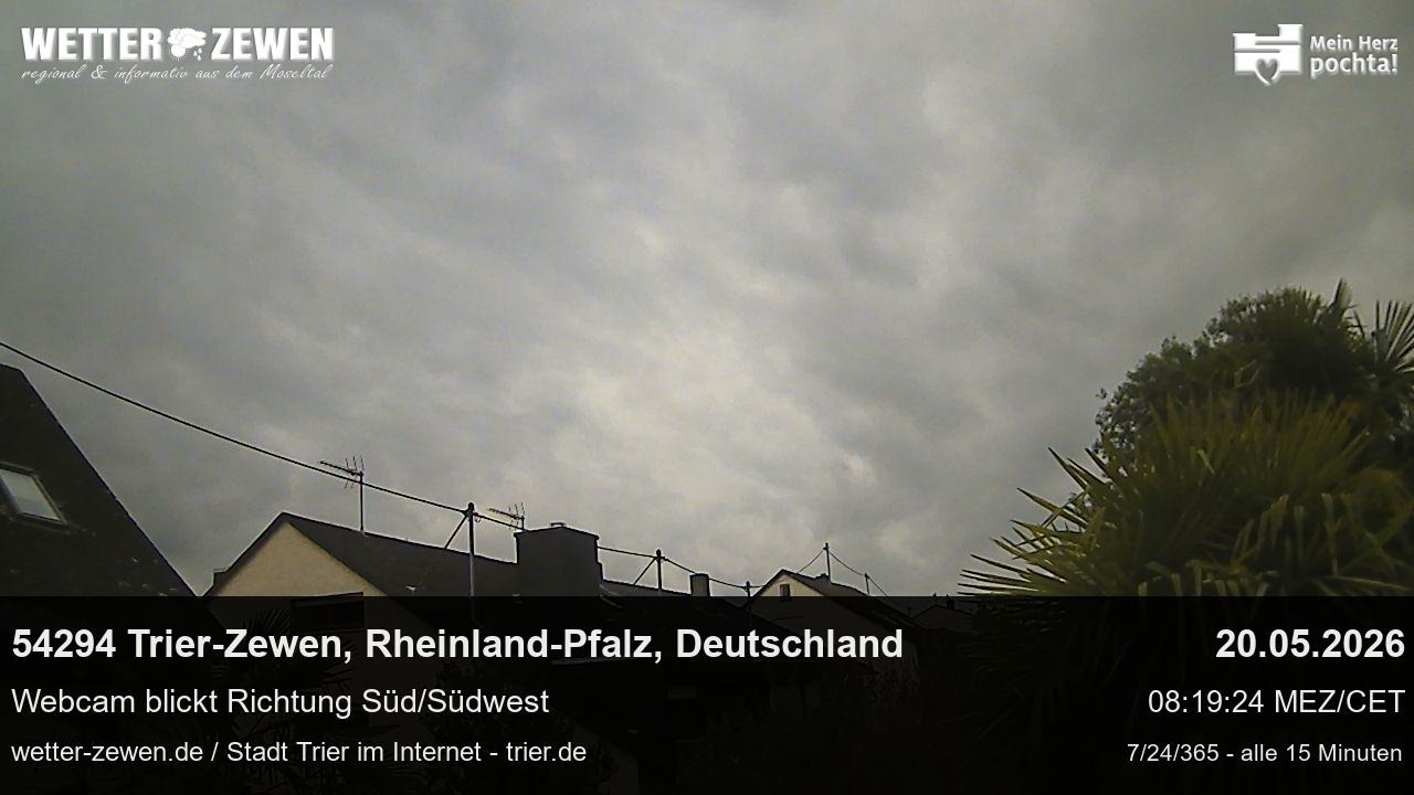 Bild