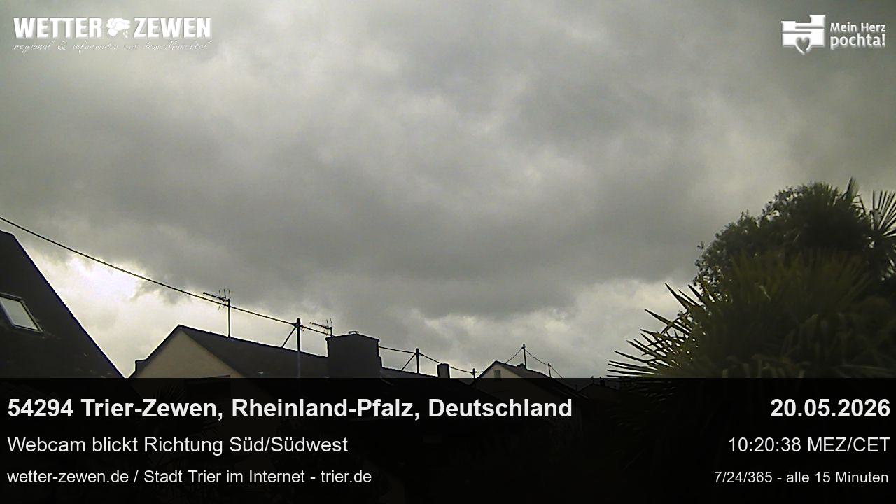 Bild