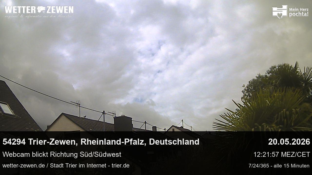 Bild