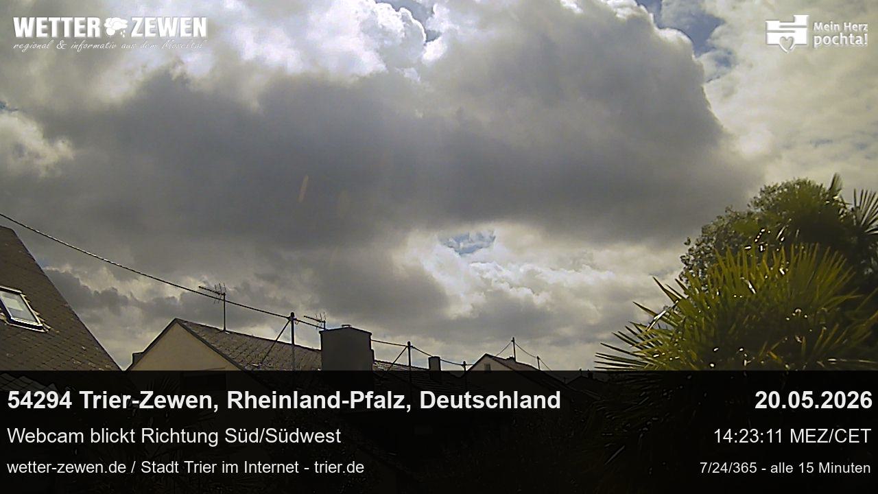 Bild