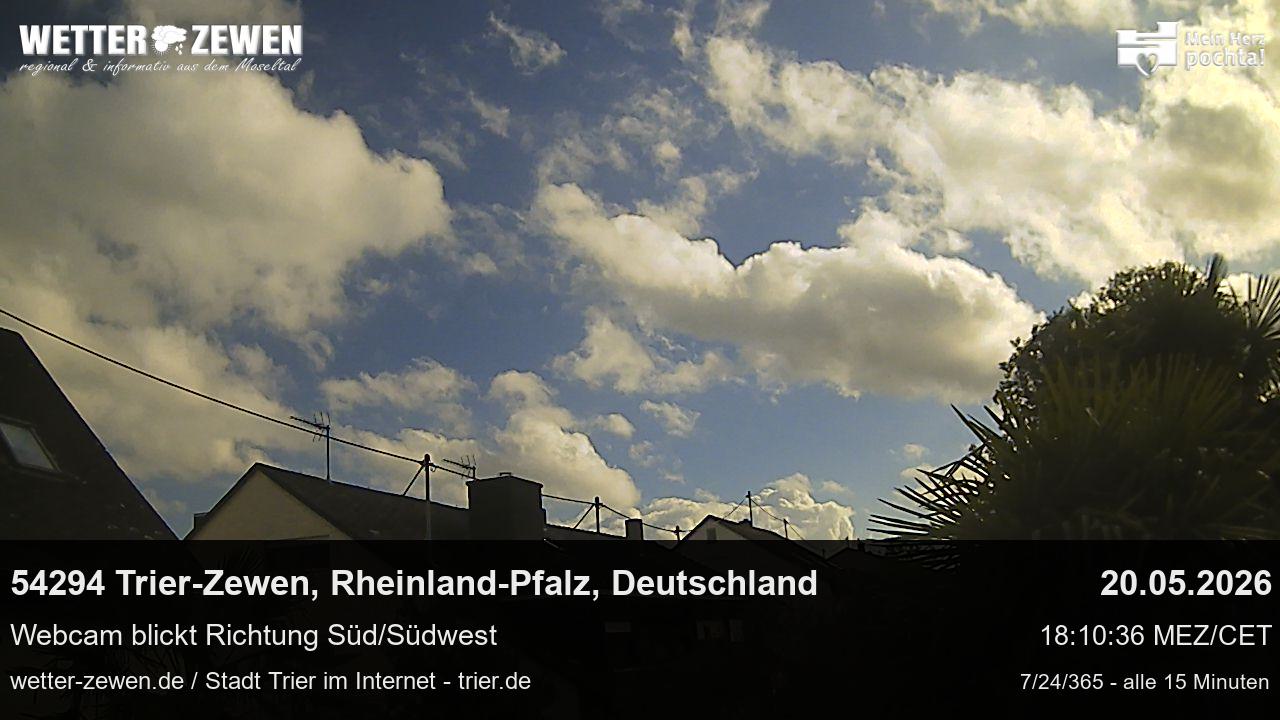 Bild