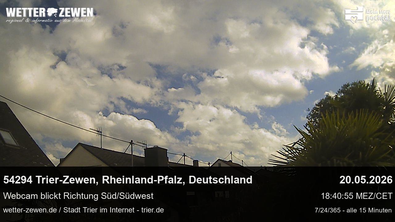 Bild