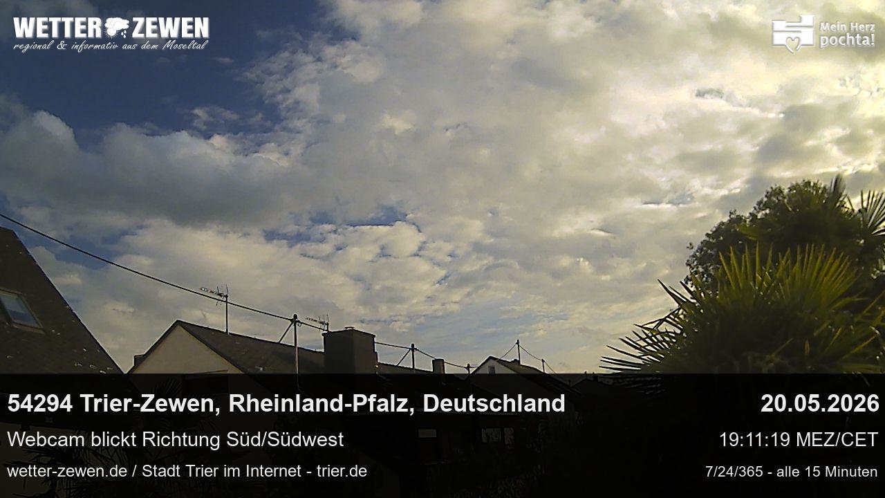Bild