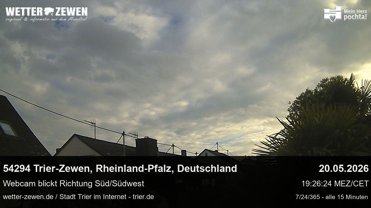 Bild