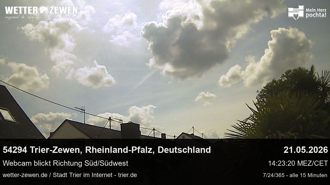 Bild