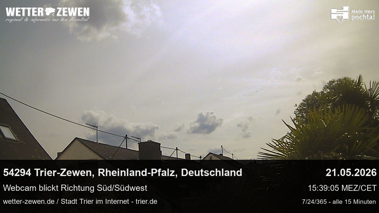 Bild