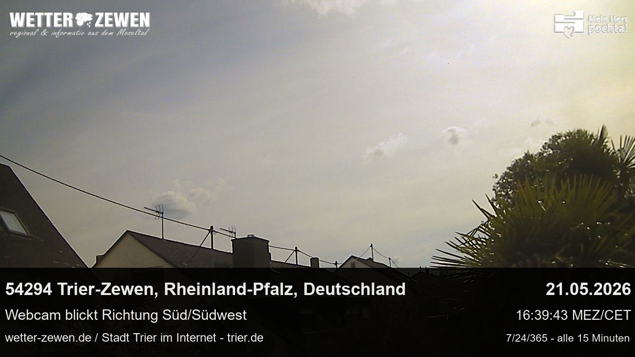 Bild