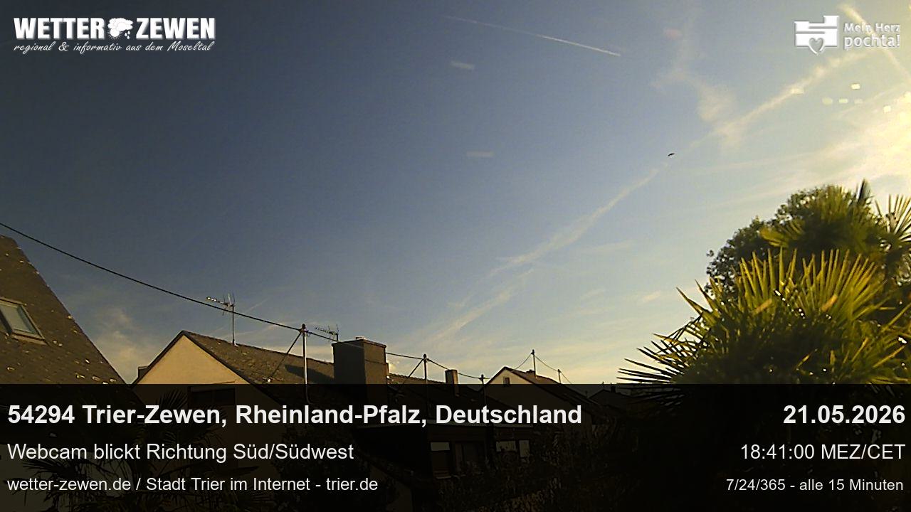 Bild