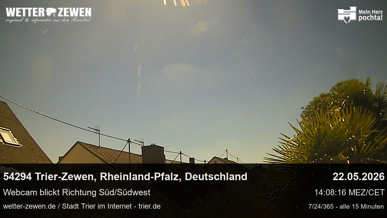 Bild