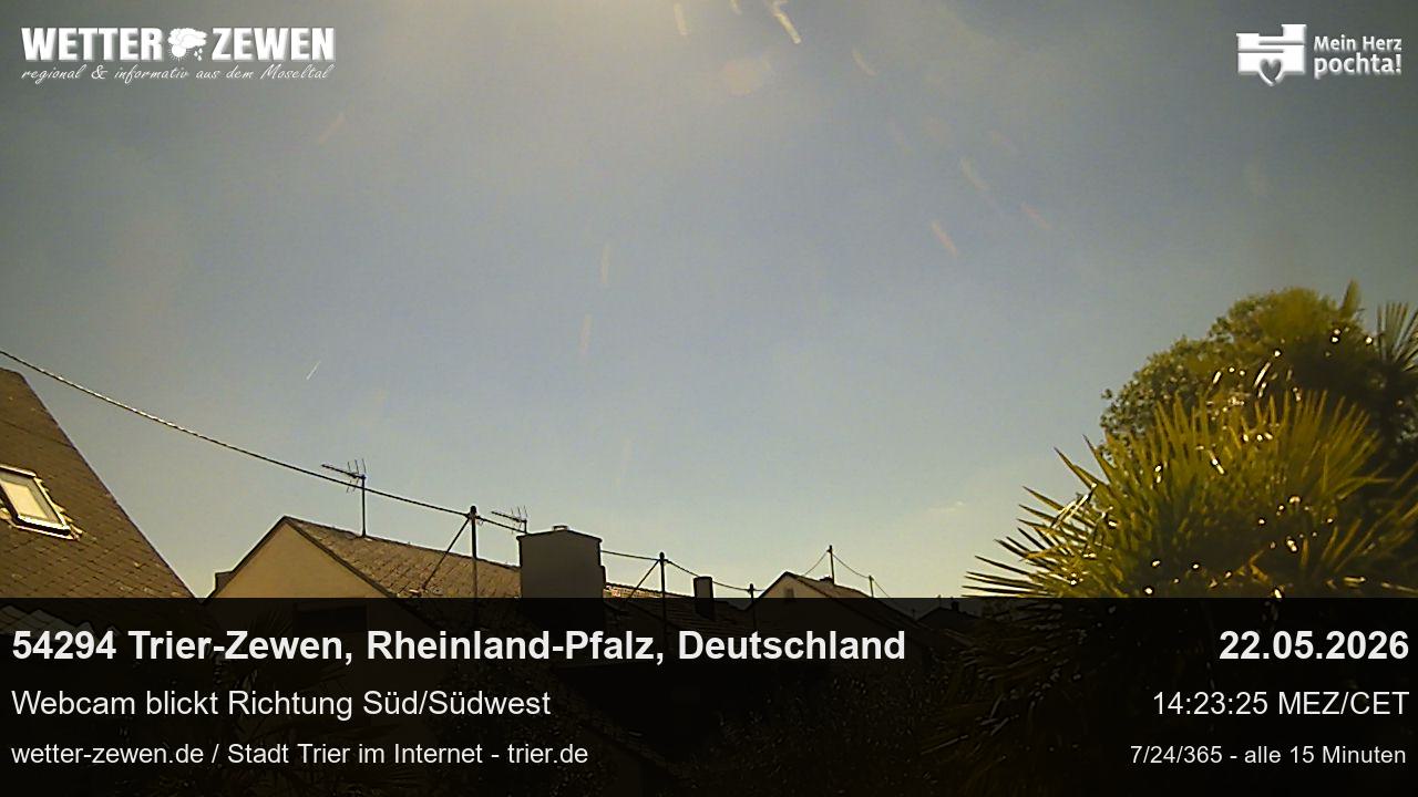 Bild
