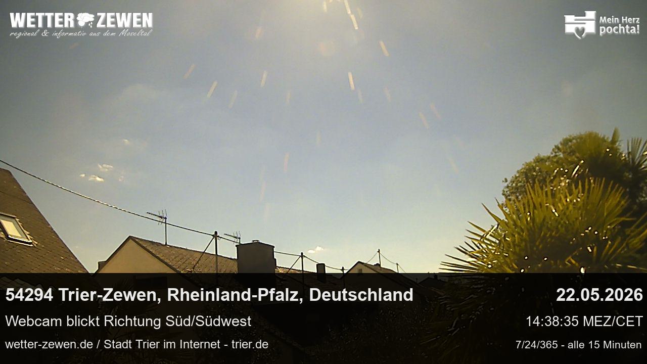 Bild
