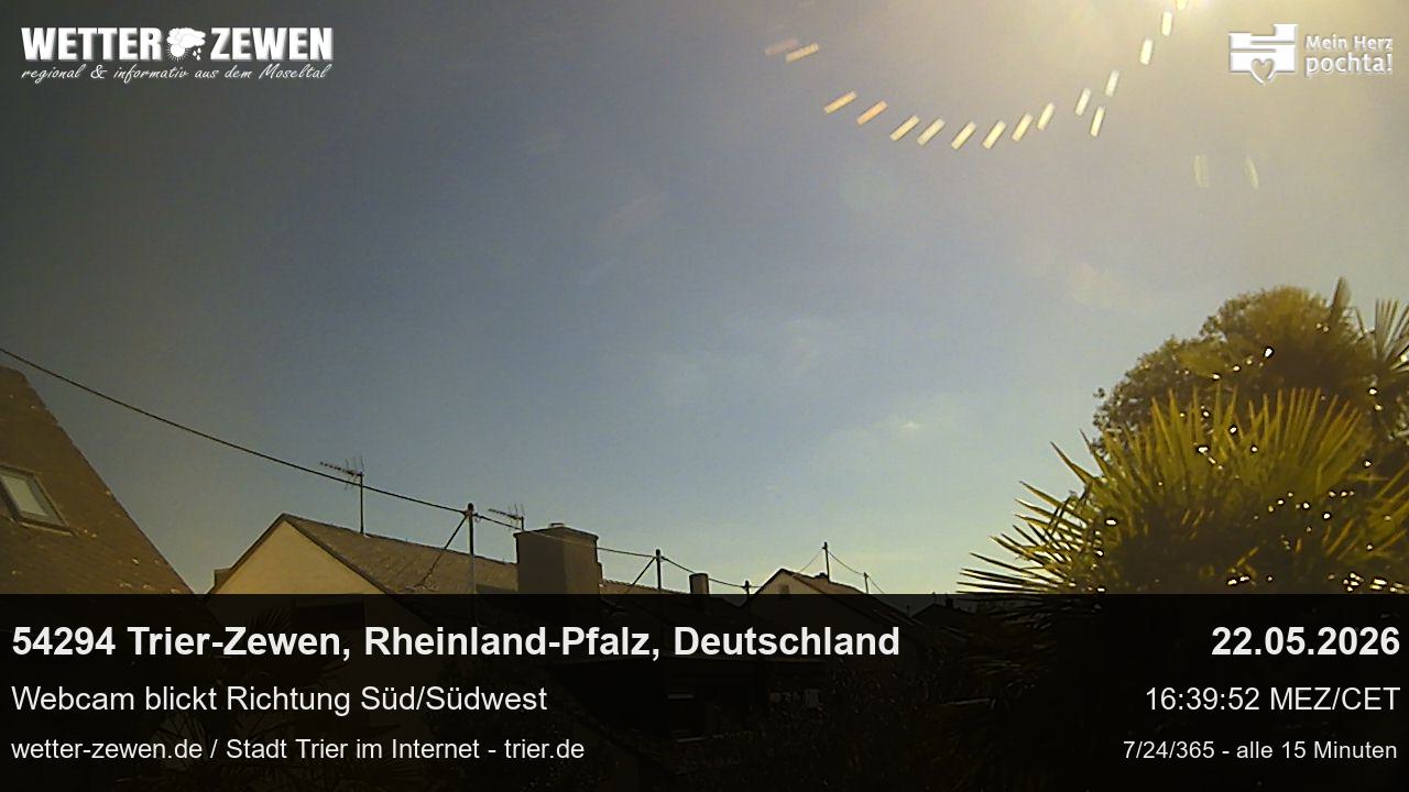 Bild