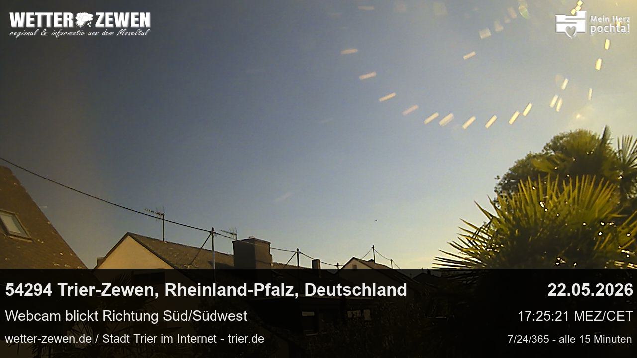 Bild