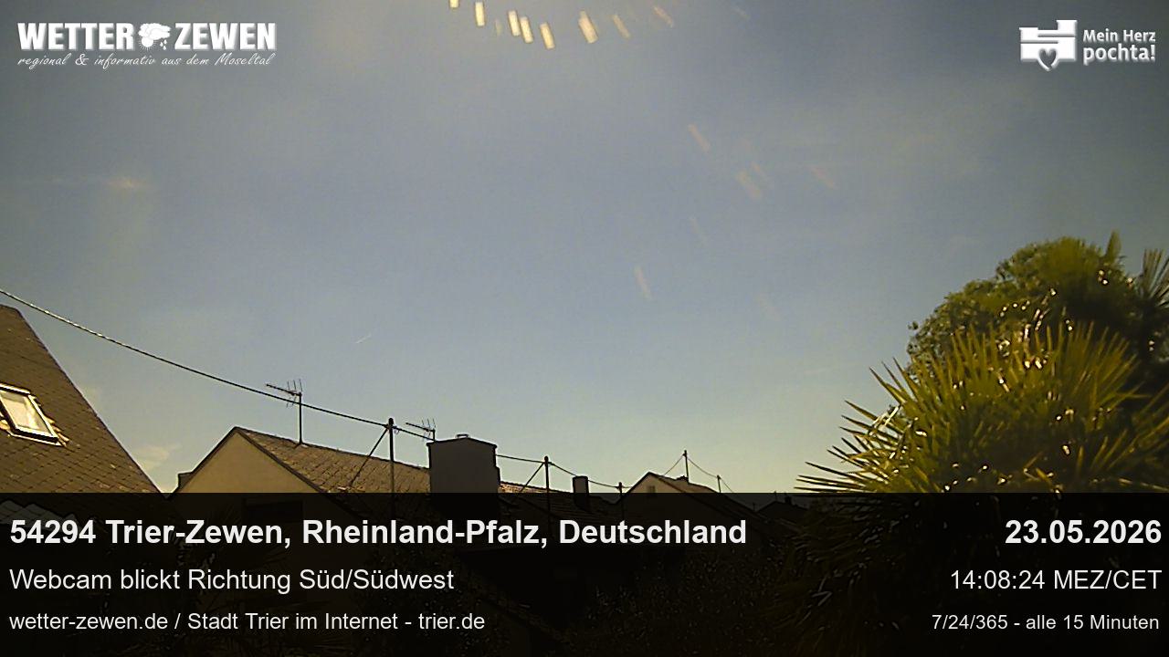 Bild