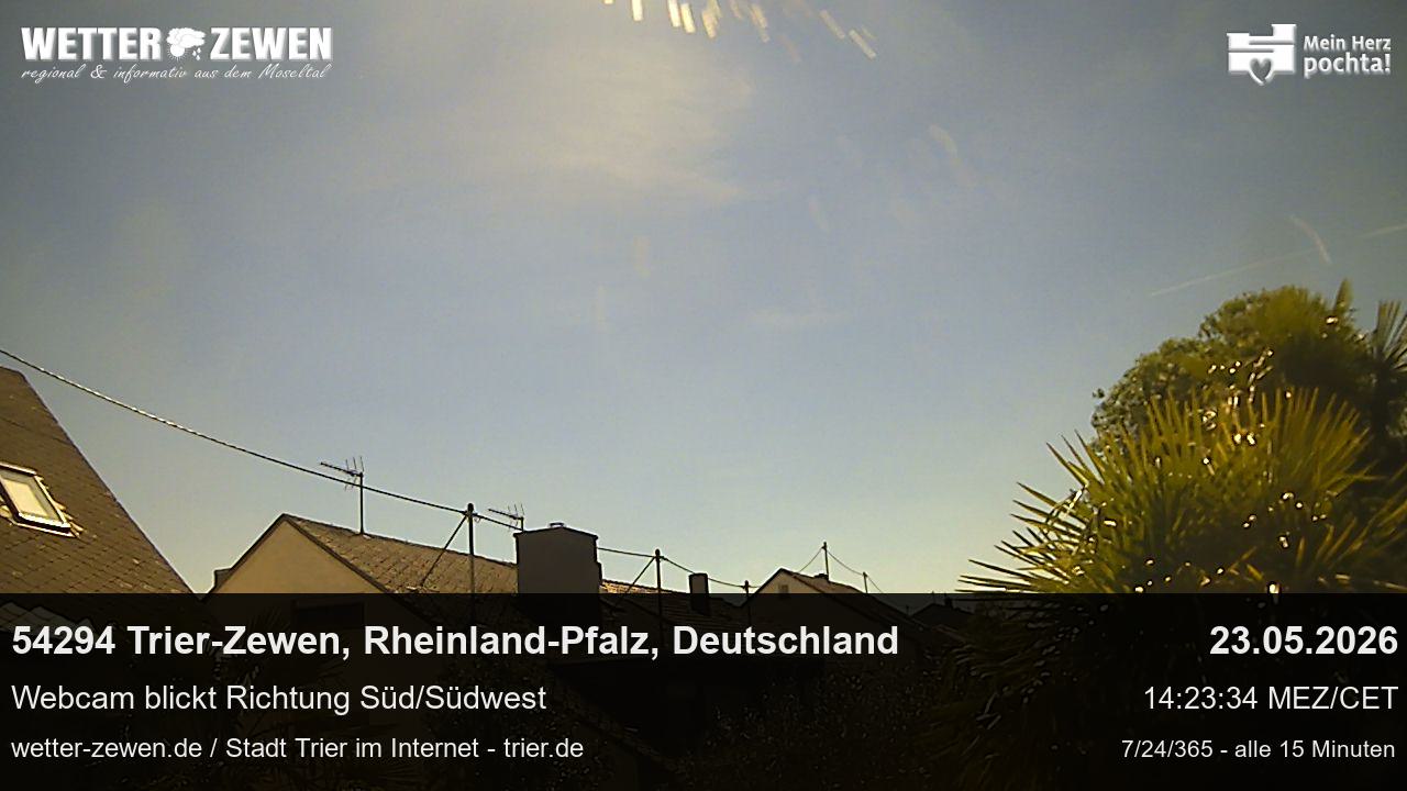 Bild
