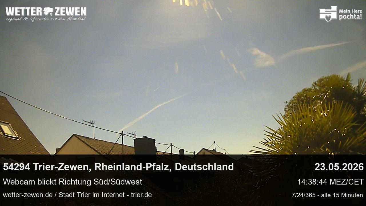 Bild