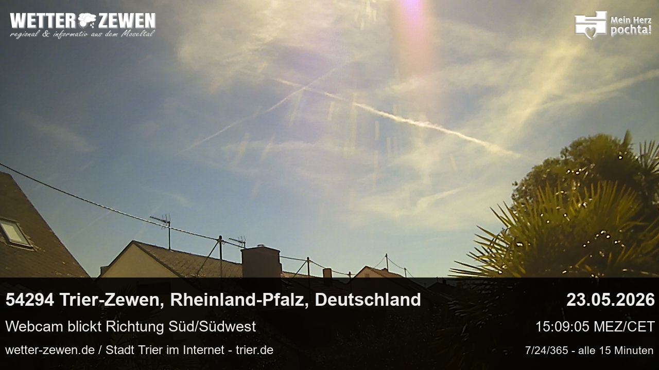 Bild