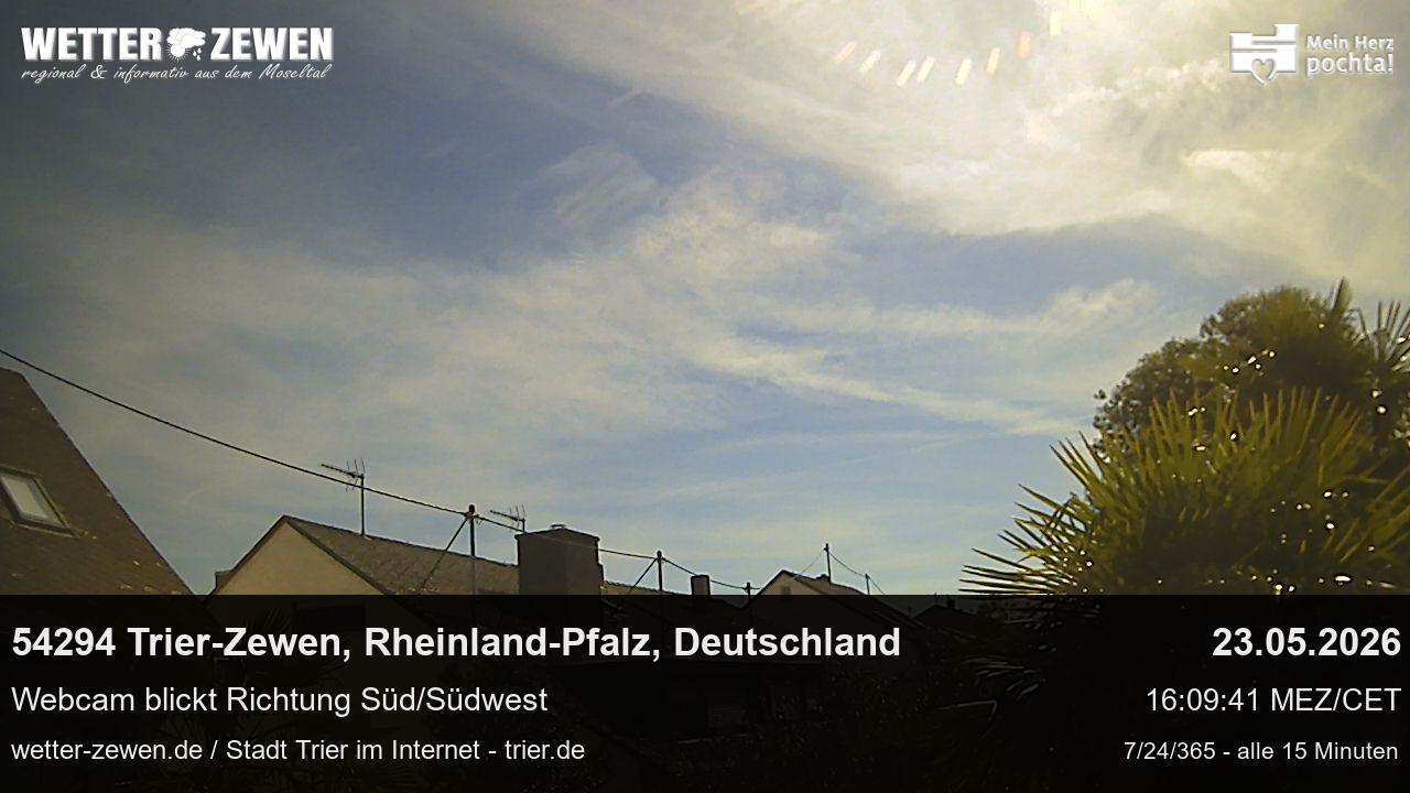 Bild
