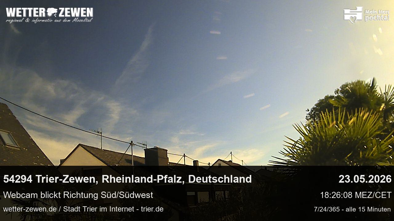 Bild