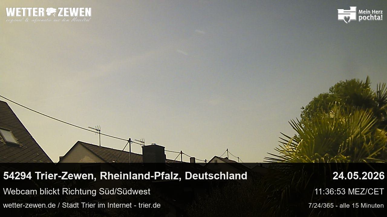 Bild