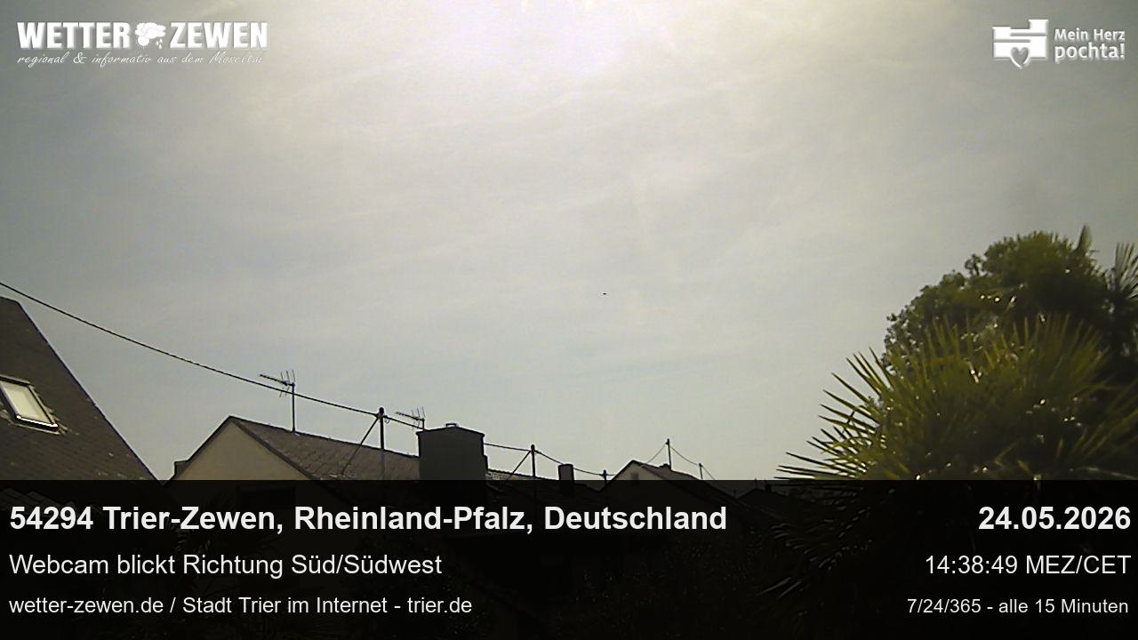 Bild