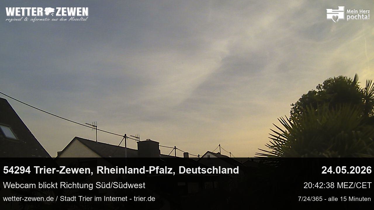 Bild