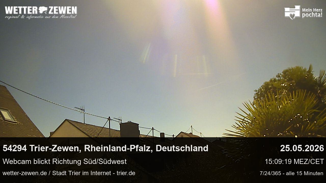 Bild