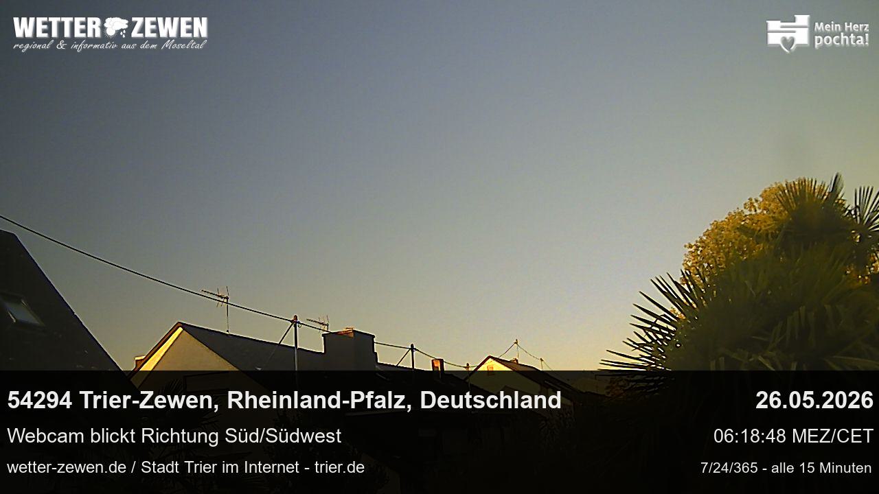 Bild