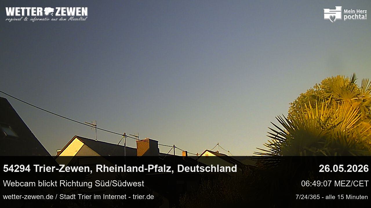 Bild