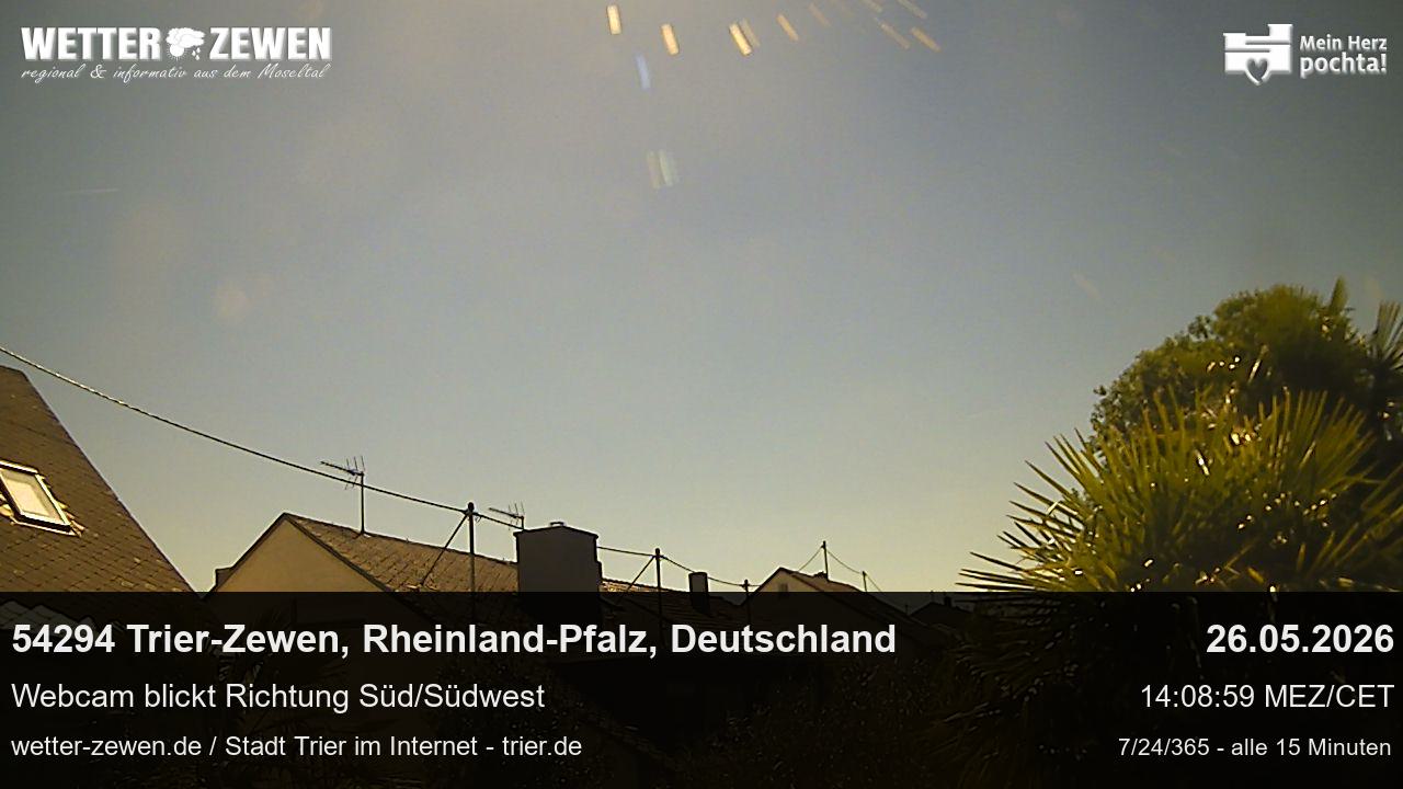 Bild