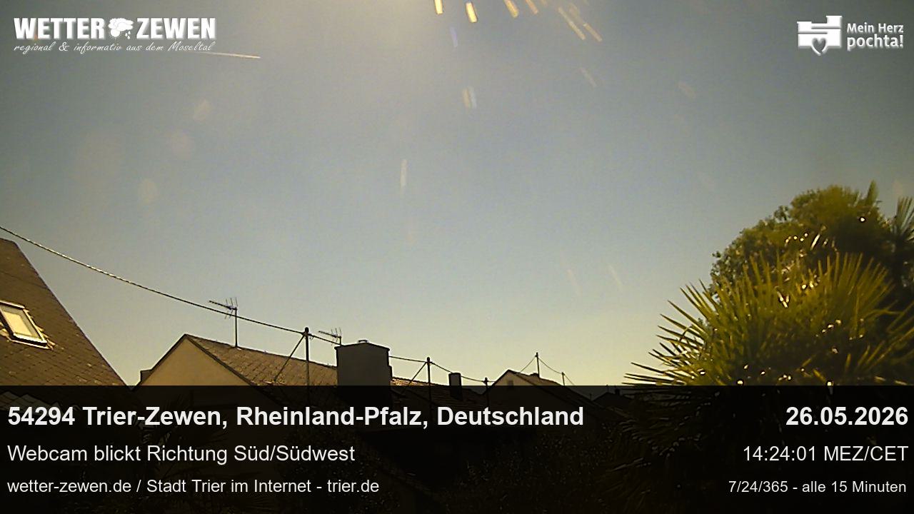 Bild