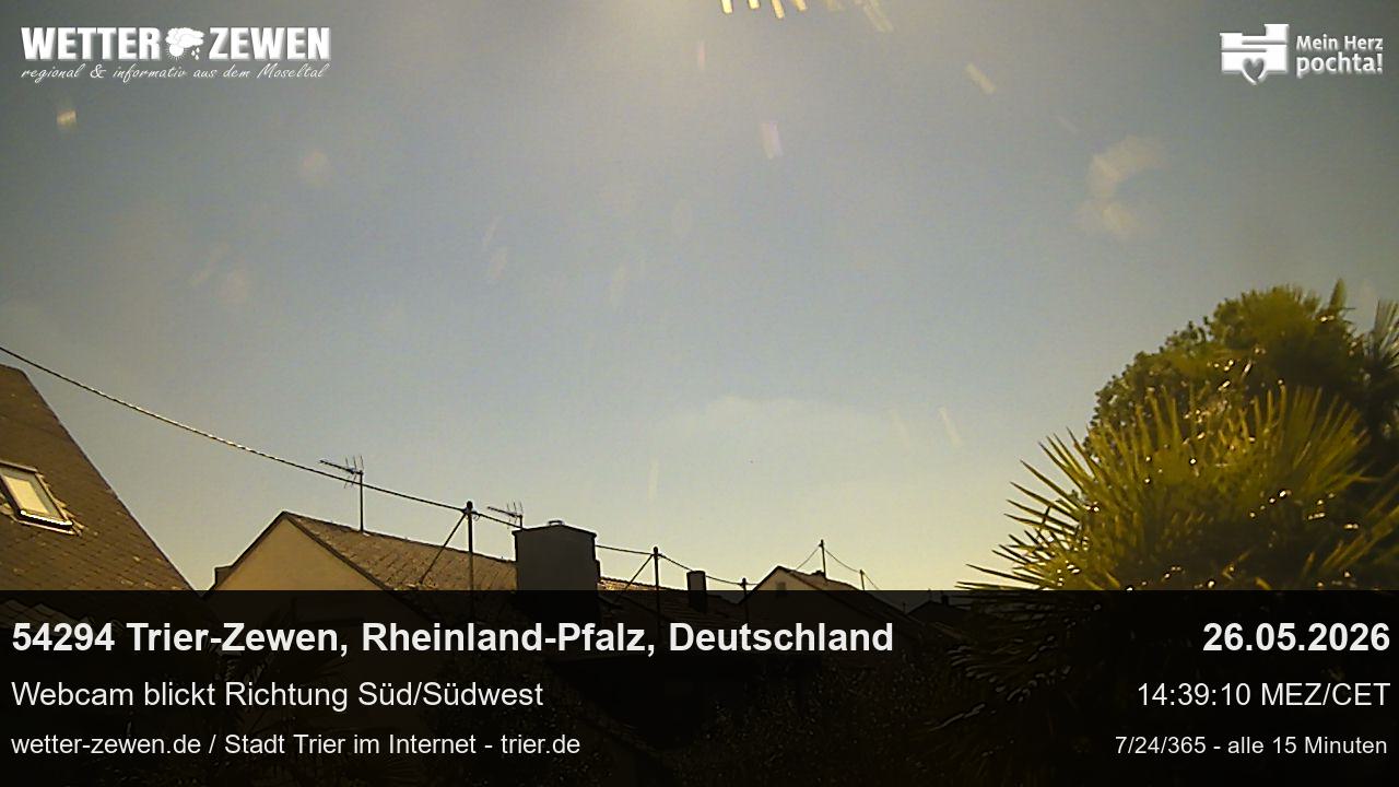 Bild
