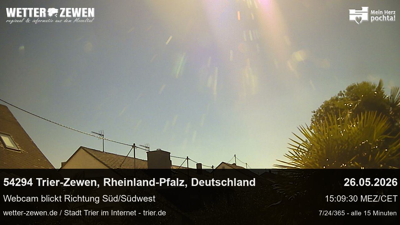 Bild
