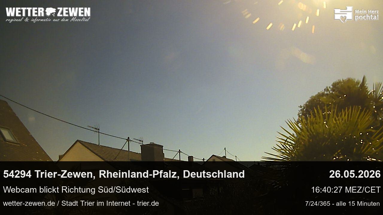Bild