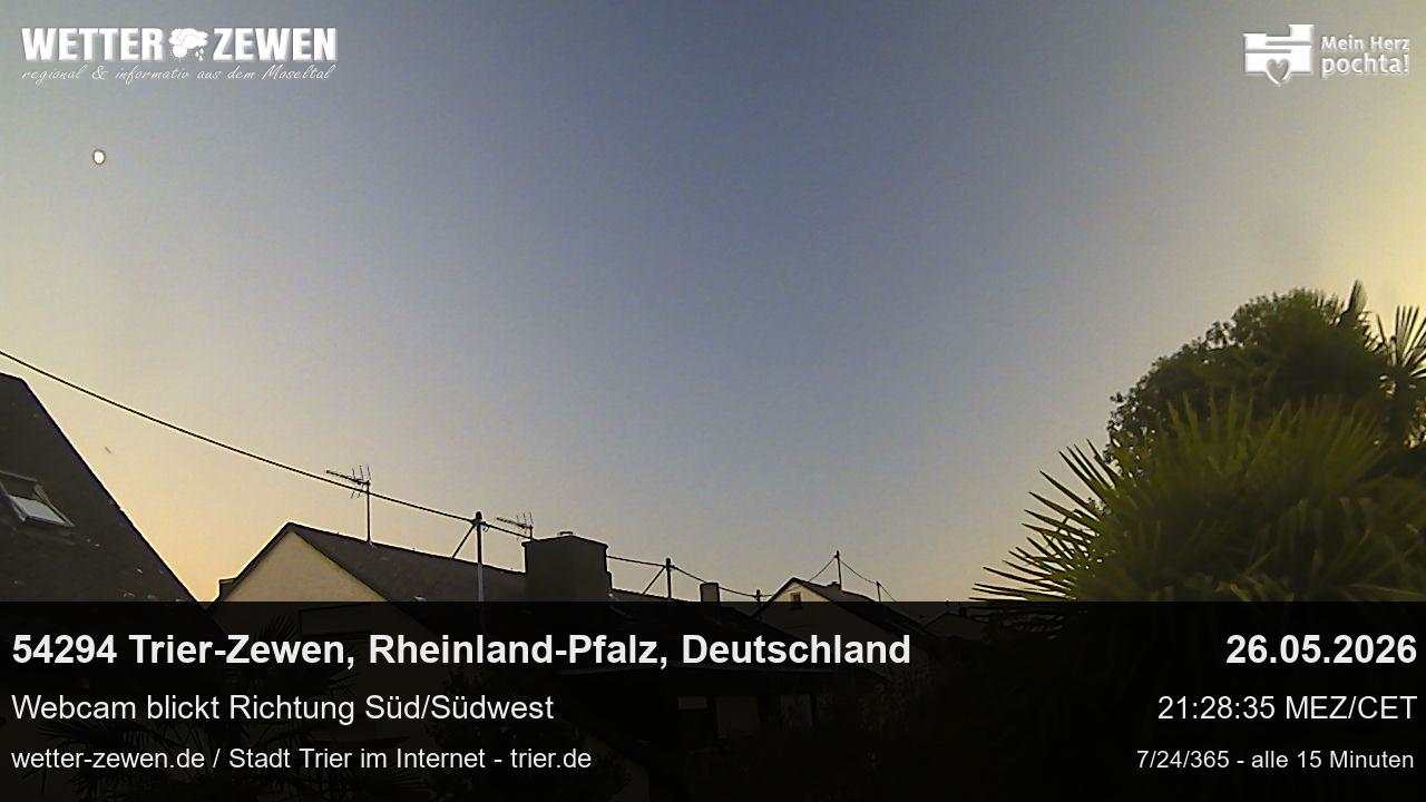 Bild