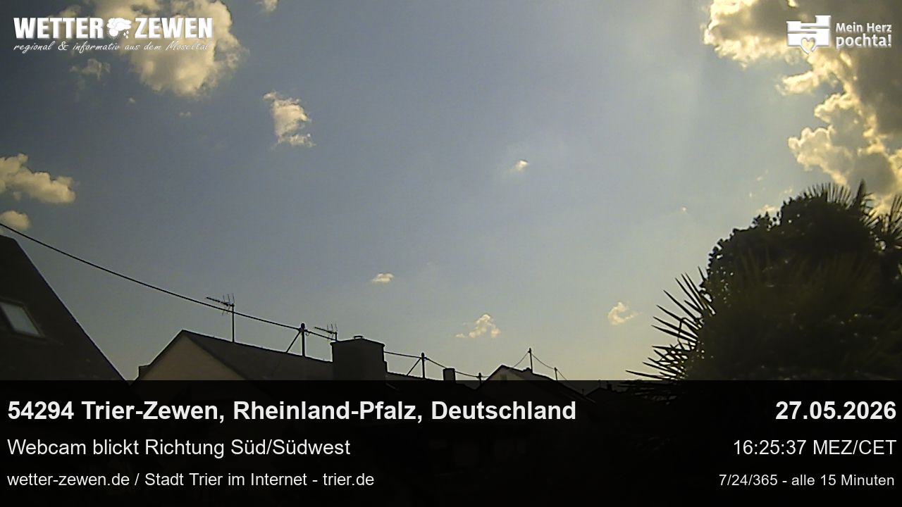 Bild
