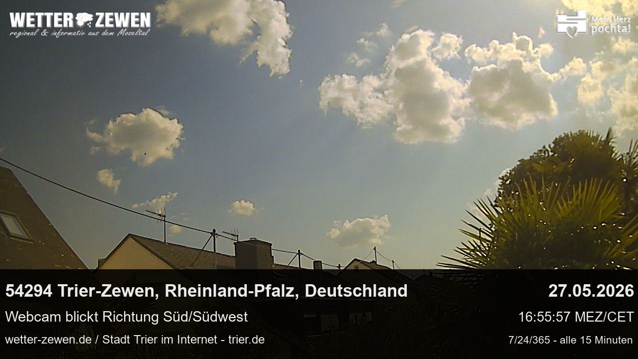 Bild
