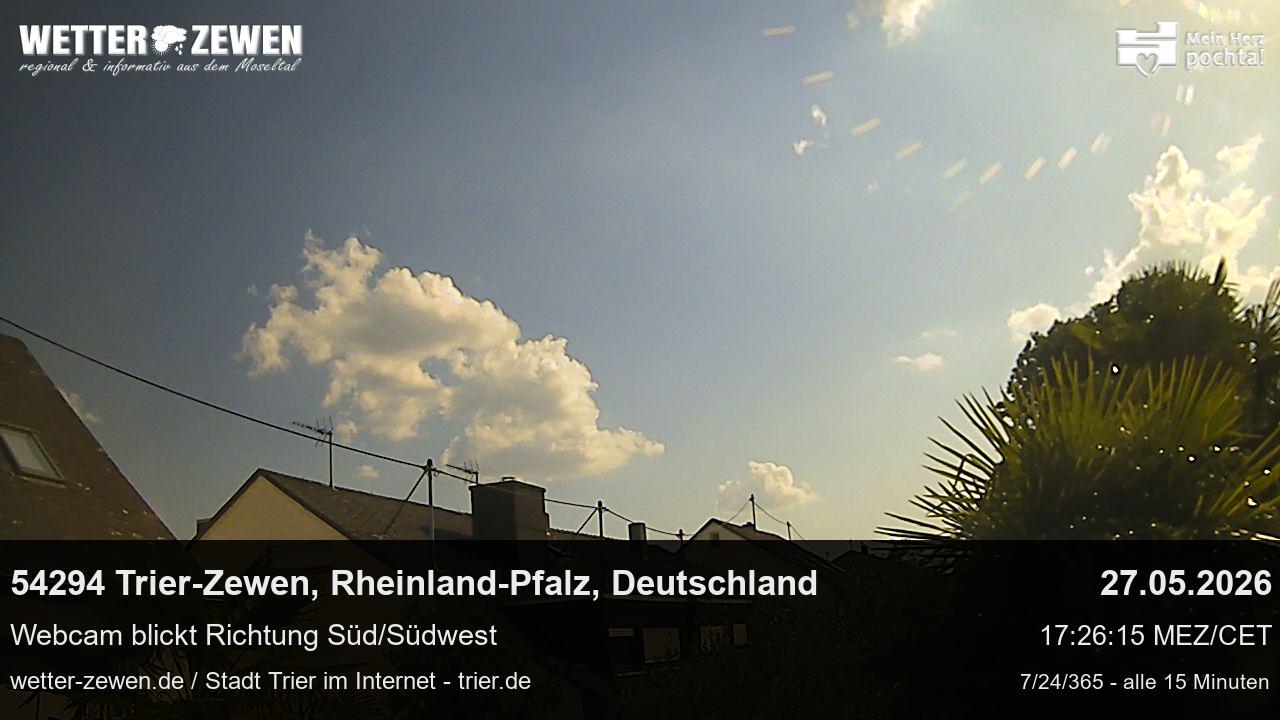 Bild