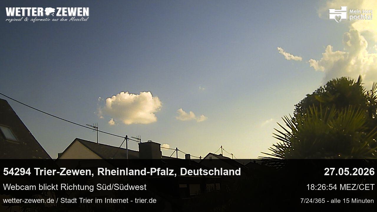 Bild