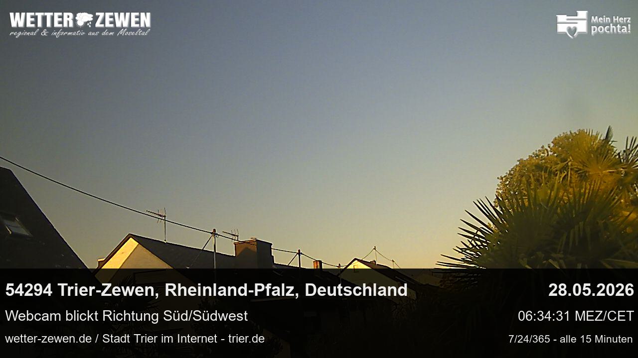 Bild