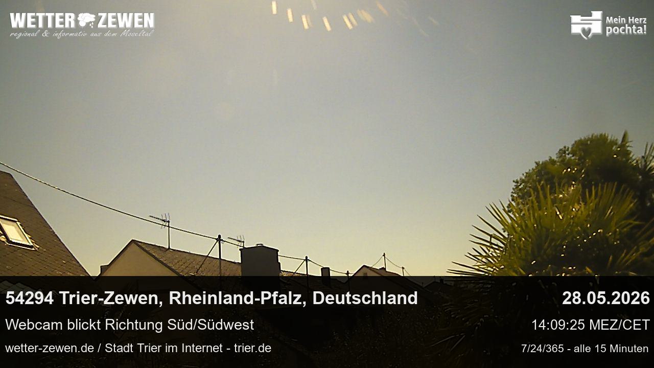 Bild