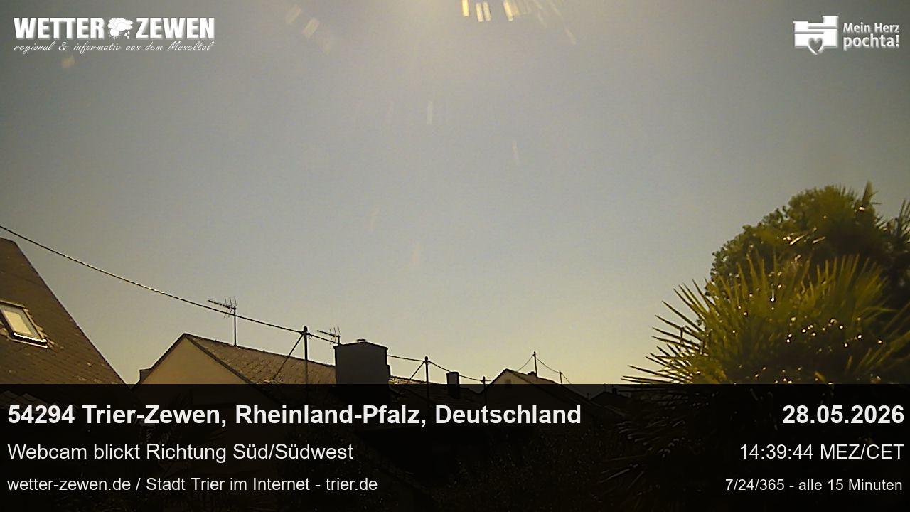 Bild