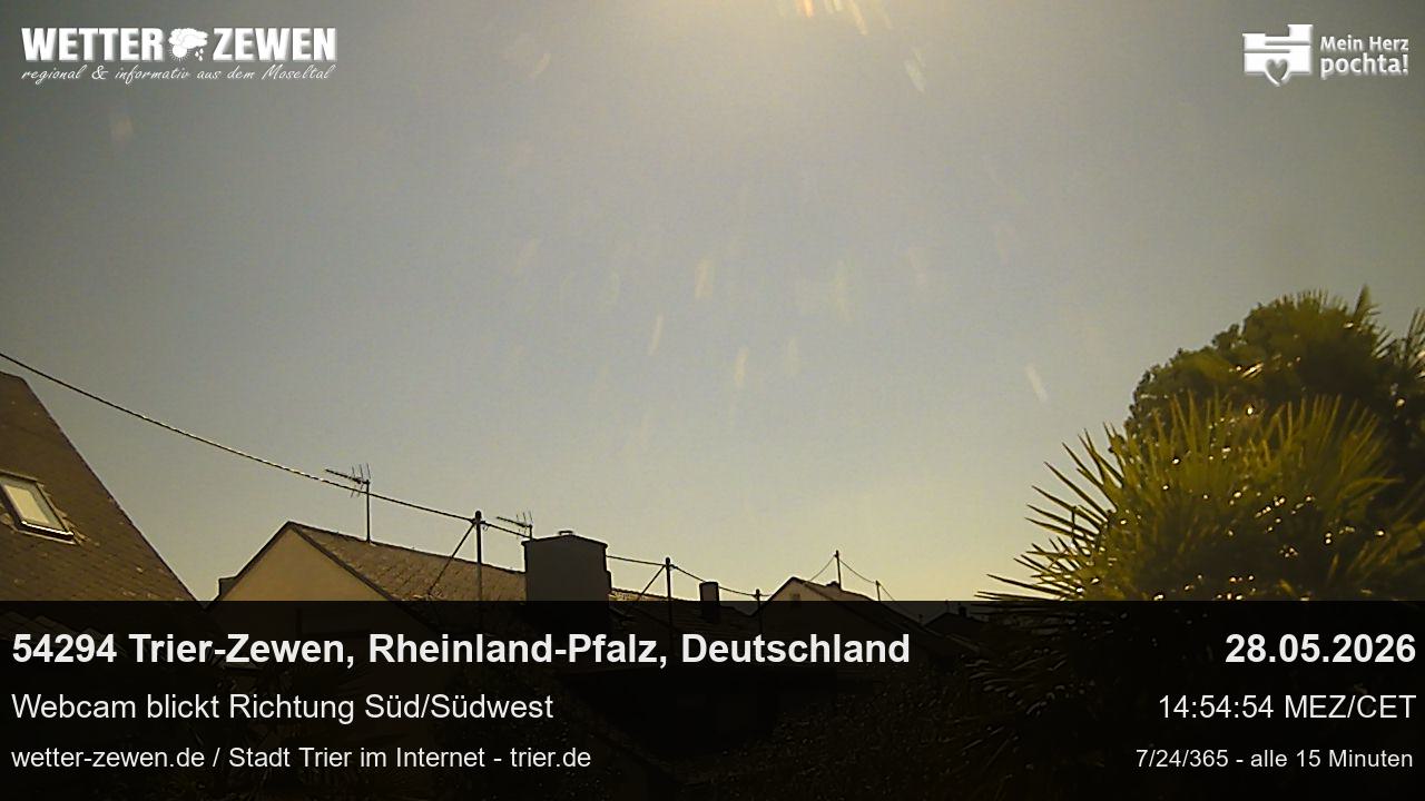 Bild