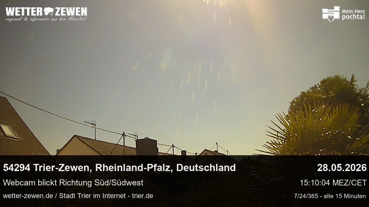 Bild
