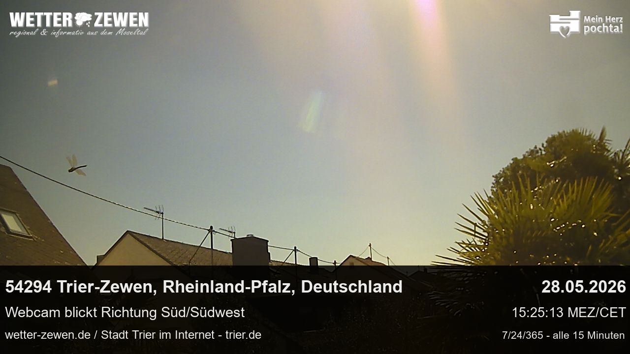 Bild