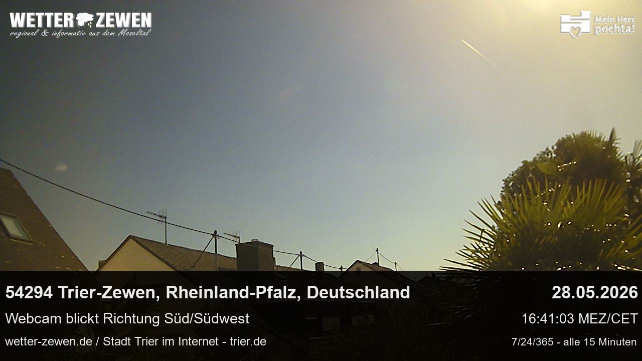 Bild