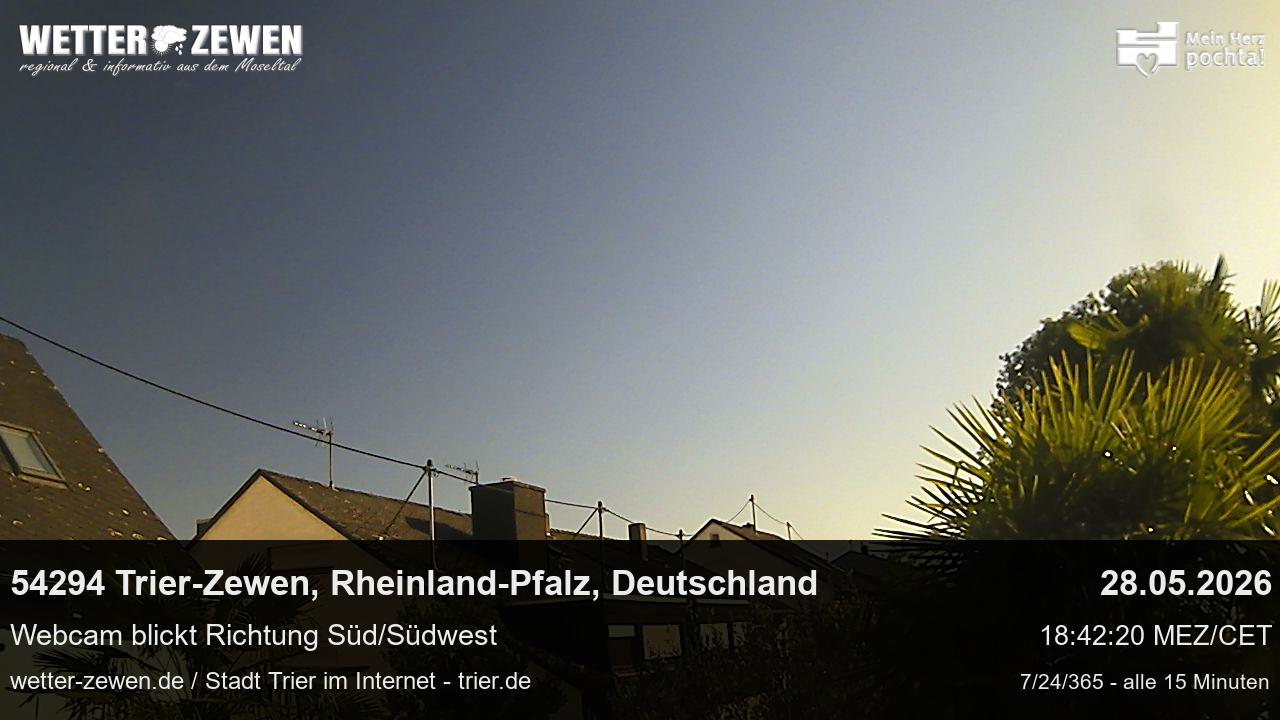 Bild