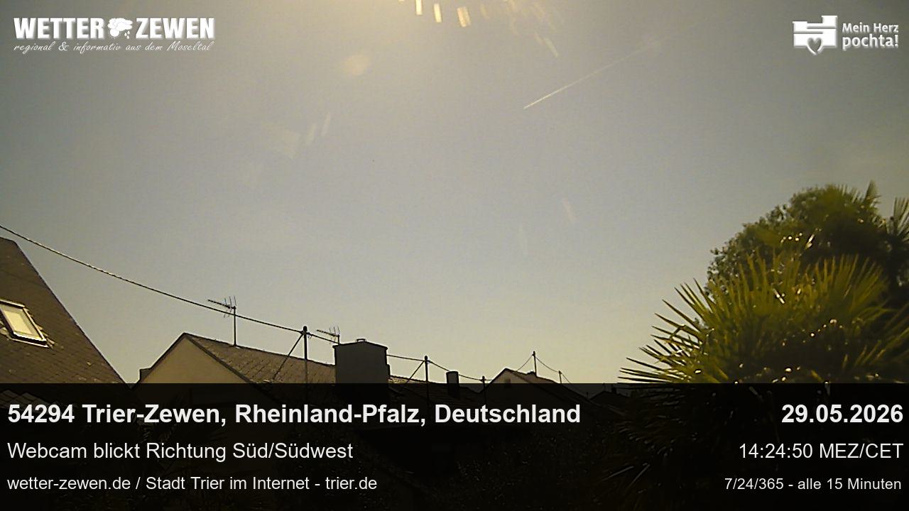 Bild