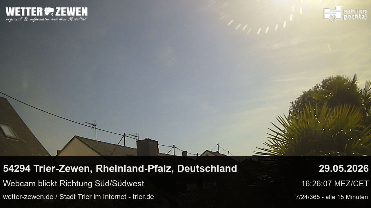 Bild
